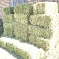پرس یونجه خشک خشک