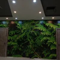 نصب کاغذ دیواری و پوستر و نقاشی (حرفه ای)