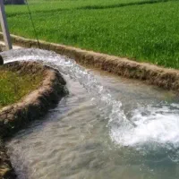 آب کشاورزی