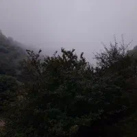 ۱ همسفر اصفهان به شمال