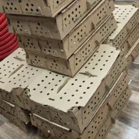 تعداد محدود جوجه یک‌روزه روزه