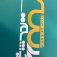 همکار جوان آقا