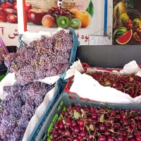 شاگرد میوه
