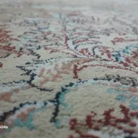 مبل شویی دلفین