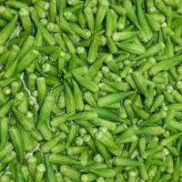 بامیه تازه چین