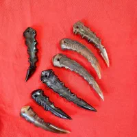 گردنبند و جاسوئیچی