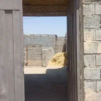 اغل گوسفندی