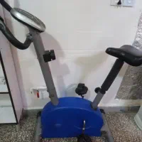 دوچرخه ثابت