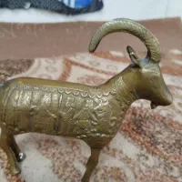 بز کوهی  عتیقه