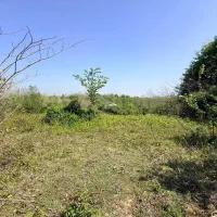 فروش زمین باغی/۲۸هزارمتری/کاملا داخل طرح/یک تیکه