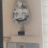 آبگرمکن دیواری بوتان