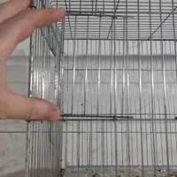 قفس جوجه پران بازاری|لوازم جانبی حیوانات|اردبیل, |دیوار