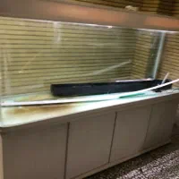 اکواریوم بزرگ دلسا