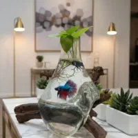 گلدان چوب و شیشه طرح آکواریوم