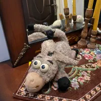 عروسک|اسباب‌بازی بچه|رشت, یخسازی|دیوار