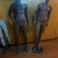 دو عدد مانکن