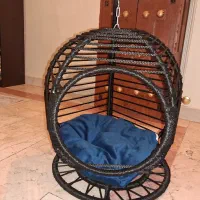 تاب سگ و گربه