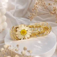 موگیر رزینی
