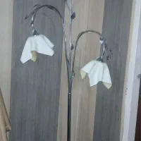 آباژور ایستاده