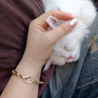 گم شده
