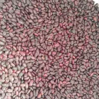 فروش لوبیا قرمز تمیز و پاک کرده 155 هزار تومان