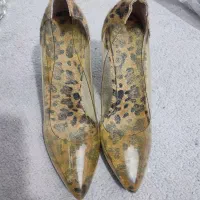 کفش مجلسی