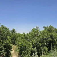 باغ ۲۷۰۰ متری با کنتور سه فاز و کنتور آب