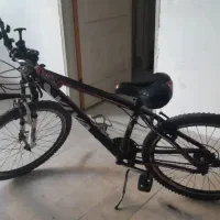 دوچرخه ویوا اصل