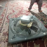 فن بزرگ ۵۰در۵۰