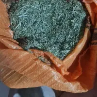 فروش یونجه ی با کیفیت سمغون