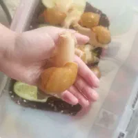 حلزون