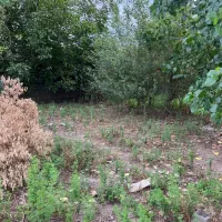 فروش ملک سندتک برگ