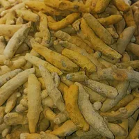 عطاری اقای عطار