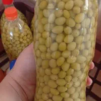 شورغوره و آبغوره تازه