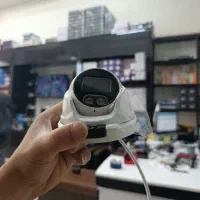 فروش دید در شب رنگی