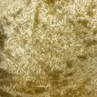 لارو ماهی قرمز گلدفیش و کالیکو