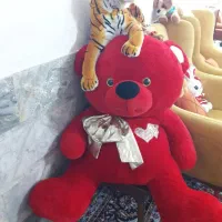 خرس خارجی قرمز بزرگ