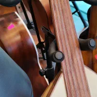 عودخانی /طنین دلنواز و عالی|سازهای سنتی|رویان, |دیوار