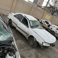 تعدادی تصادفی دارم