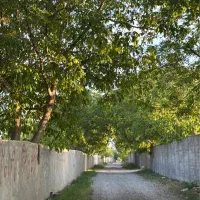 ۲۴۵مترباغچه جابان دماوندسندقطعی اب برق اقساط مالک