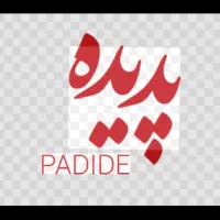 نیروی خانم زیره کفش