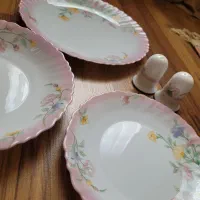 سرویس غذا خوری ارکوپال فرانسه