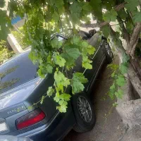 فروشی|خودرو سواری و وانت|ریگان, |دیوار