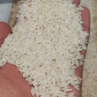 برنج هاشمی به شرط