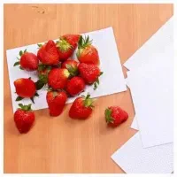 پد جذب مخصوص میوه (مخصوص بسته بندی و صادرات میوه)