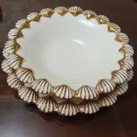 ظرف پذیرایی