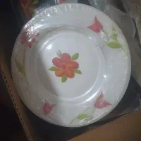 سرویس ارکوپال نو با کارتن