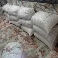 بذر ارزن
