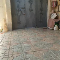 در در حد نو حیات