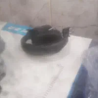 هدفون|پخش‌کننده همراه|مشهد, طلاب|دیوار
